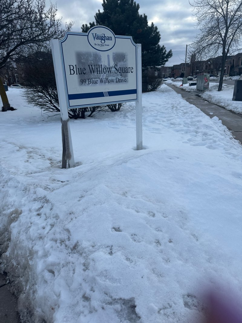walking near me in Blue Willow Square in spring