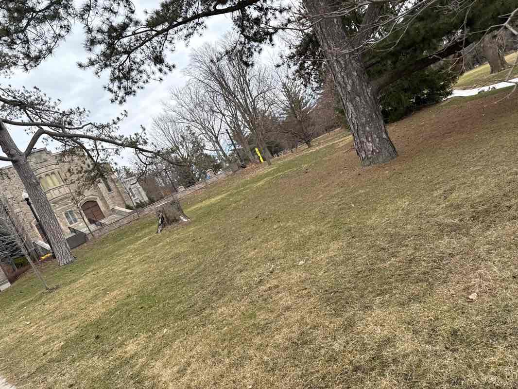 walking near me in Johnston Green in spring