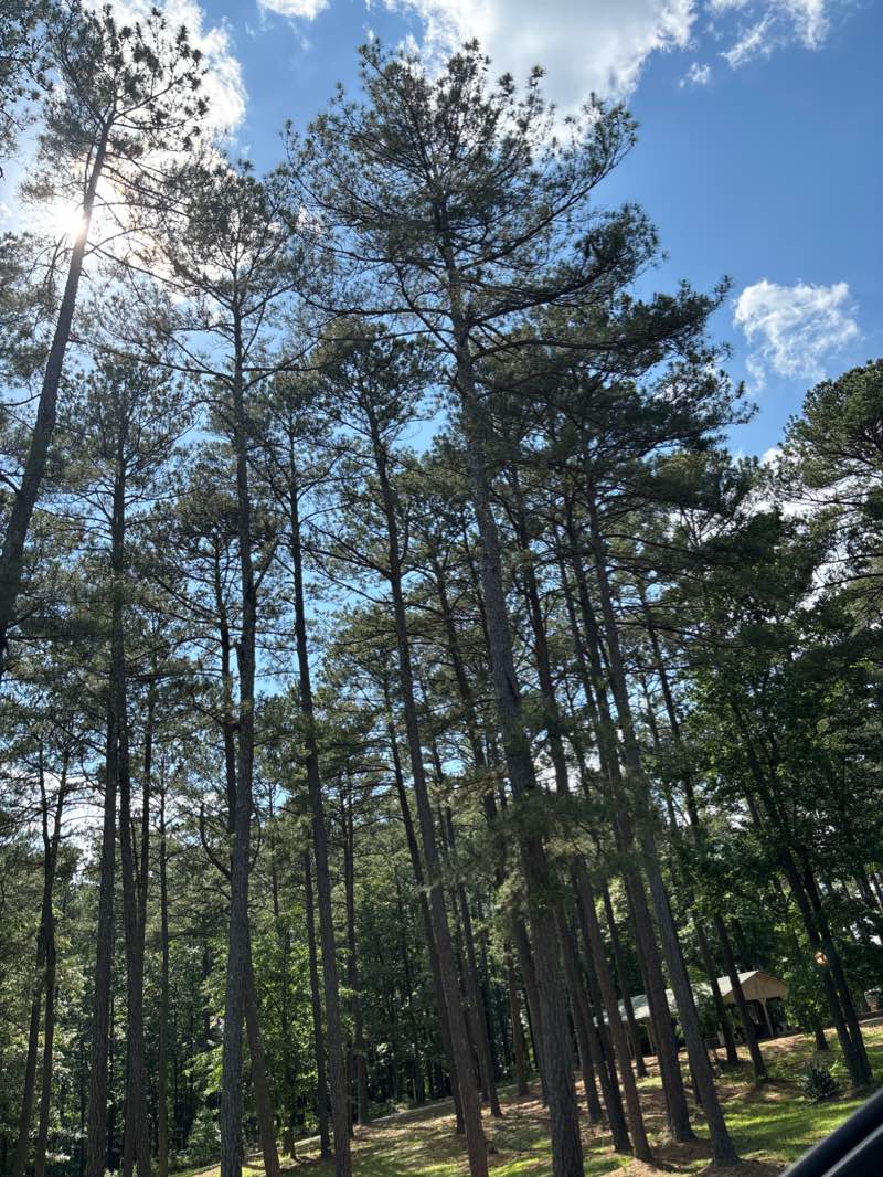 walking near me in McCurry Park North in winter