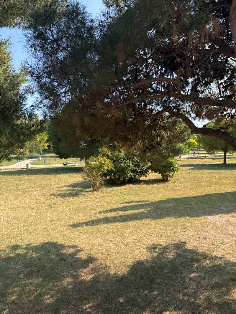 walking near me in Zvončac in summer