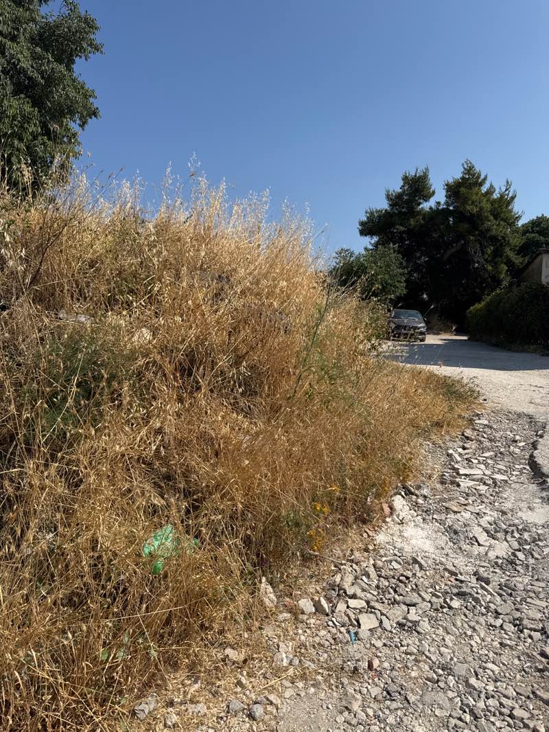 walking near me in Park Lazarica in summer