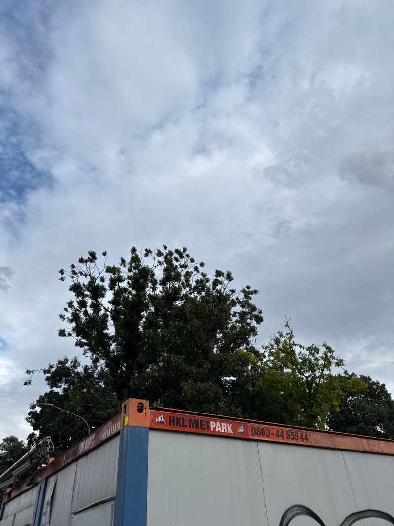 walking near me in Ringpark Haugerglacis in summer