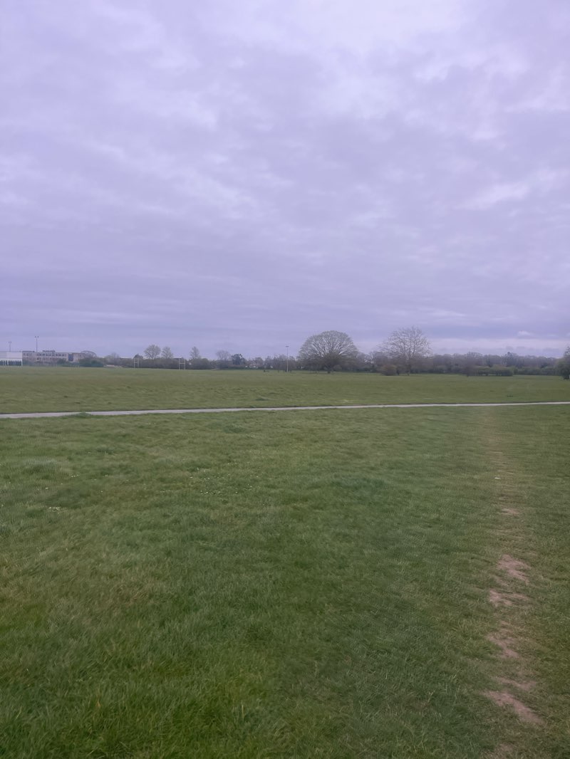 walking near me in King George's Field in spring