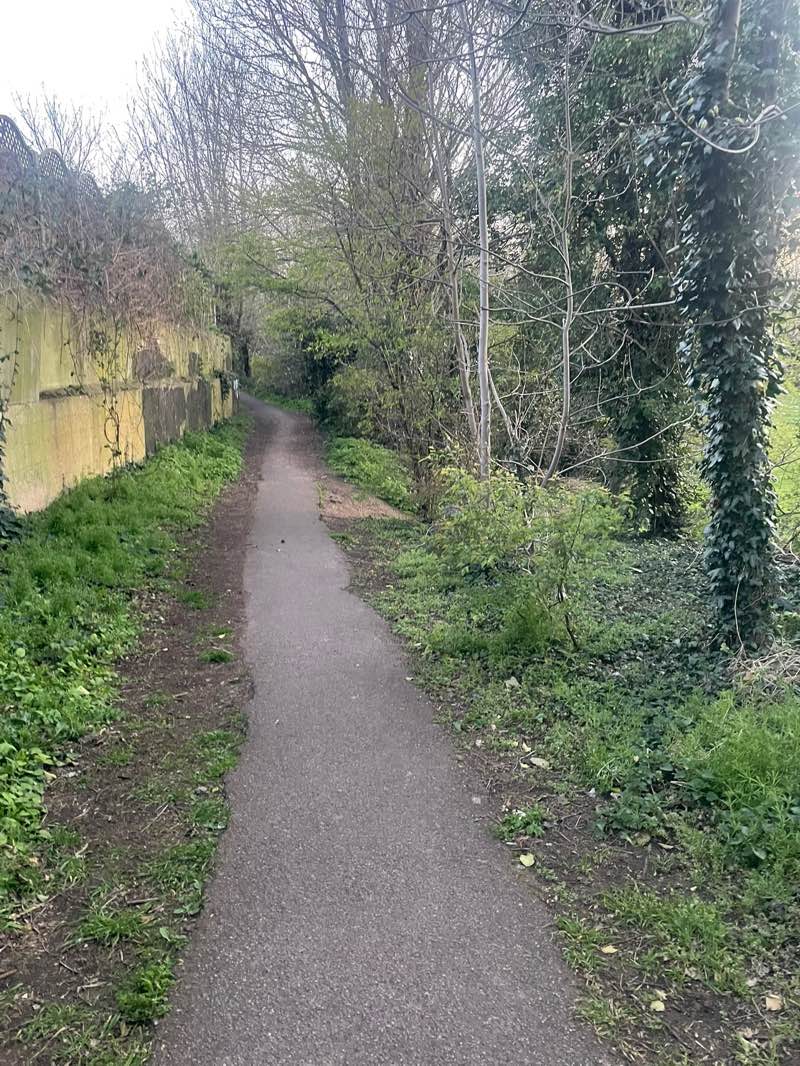 walking near me in The Dip-In in spring