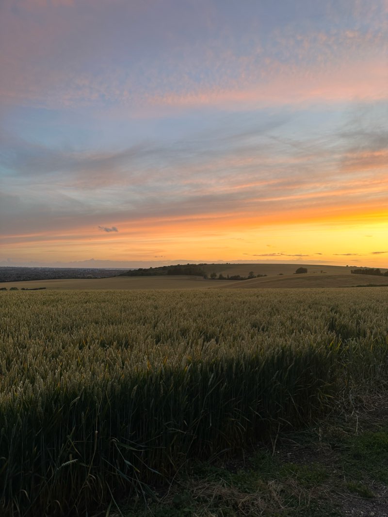 walking near me in Stopsley Common in winter