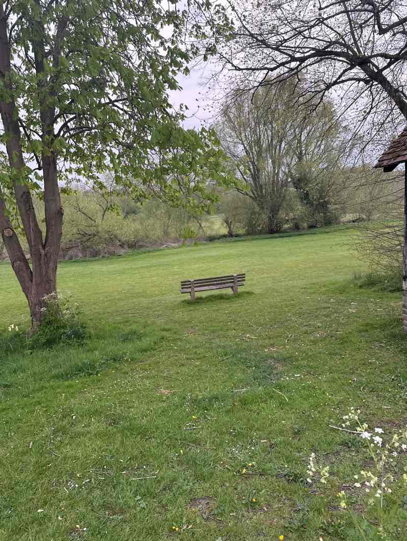 walking near me in Melissa Field in spring