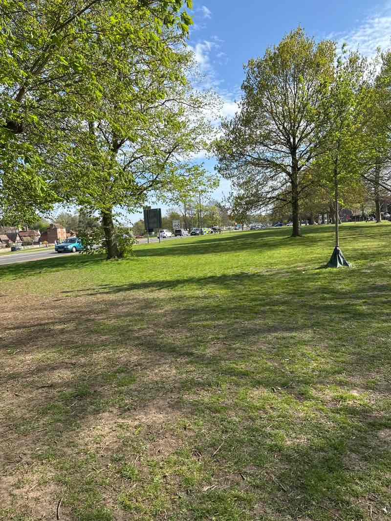 walking near me in Harpenden Common in spring