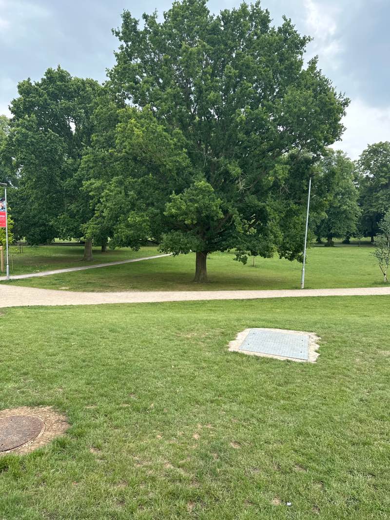 walking near me in Rothamsted Park in summer