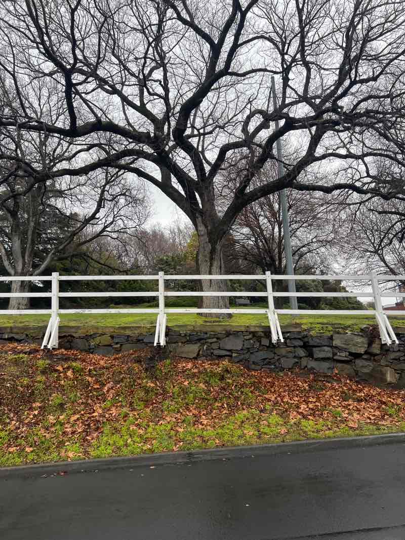 walking near me in Princes Park in spring