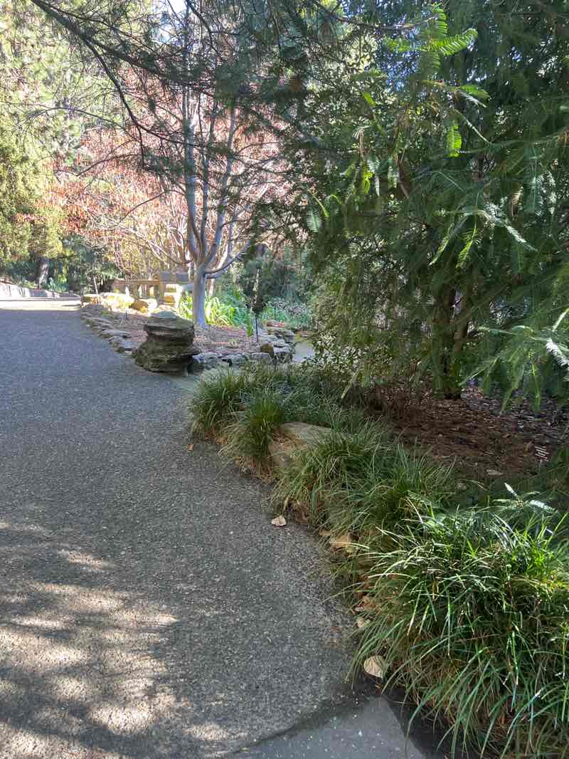 walking near me in Cenotaph in spring
