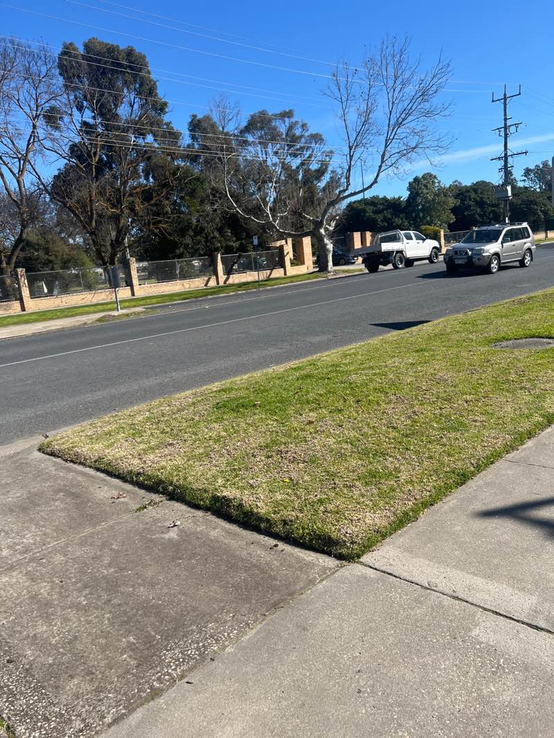 walking near me in Kings Park in spring