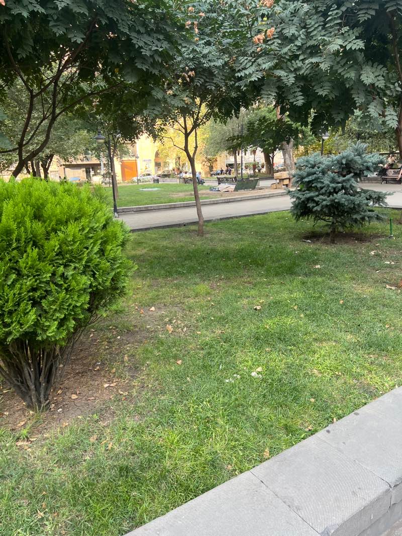 walking near me in Park after Missak Manouchian in autumn