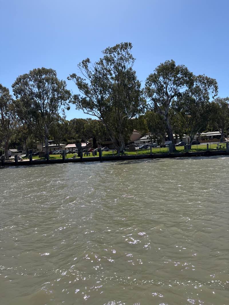 walking near me in Mary Ann Reserve in summer