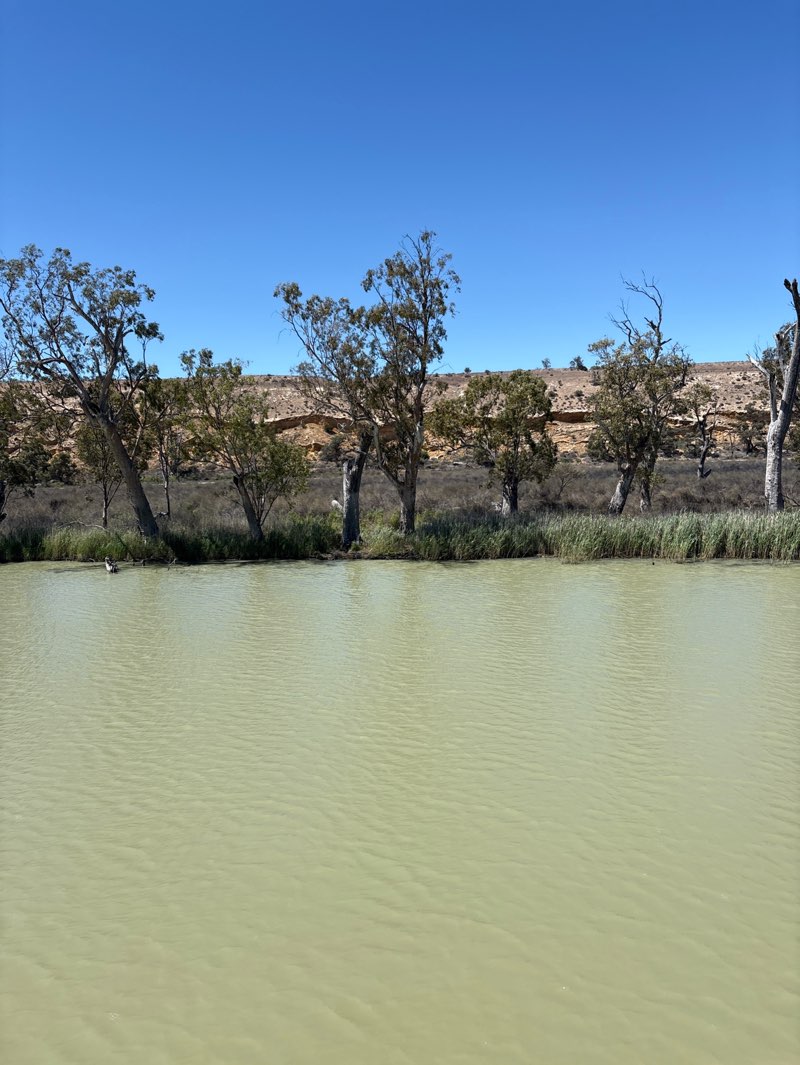 walking near me in Ngaut Ngaut Conservation Park in summer