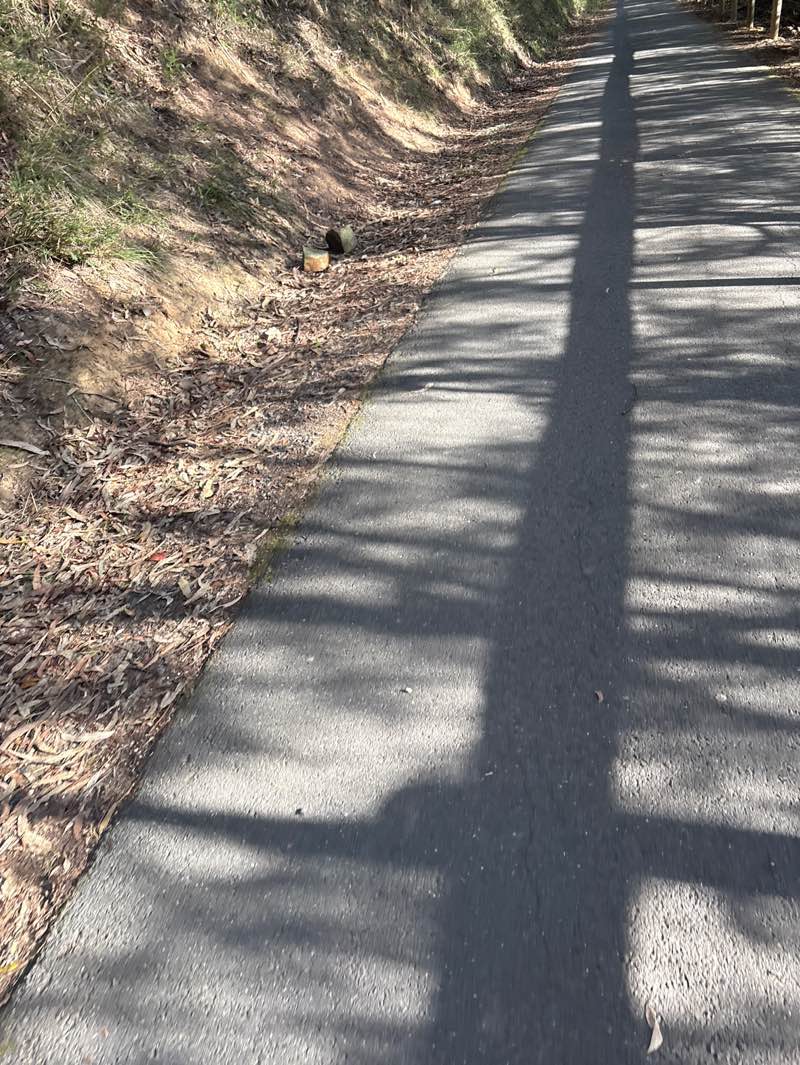 walking near me in Warburton Bushland Reserve in autumn