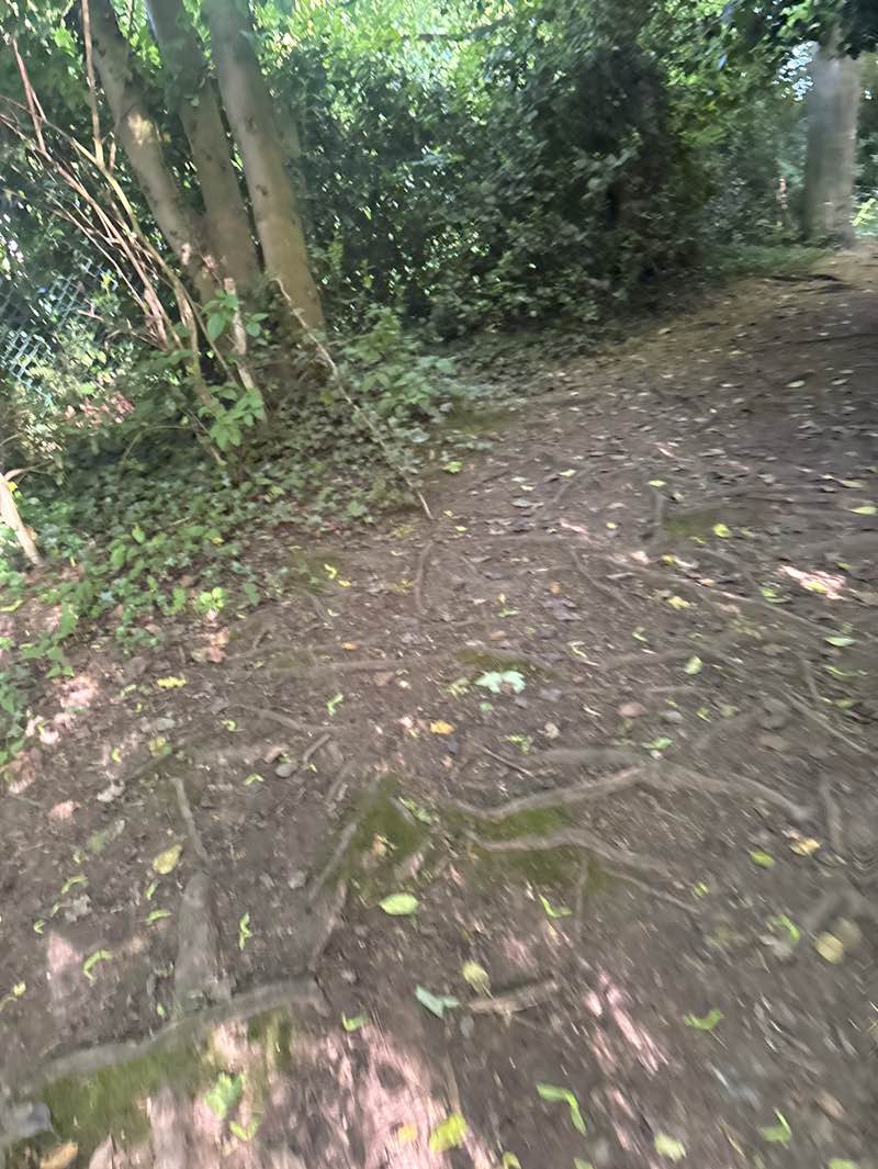 walking near me in Springhead Park, Rothwell in summer