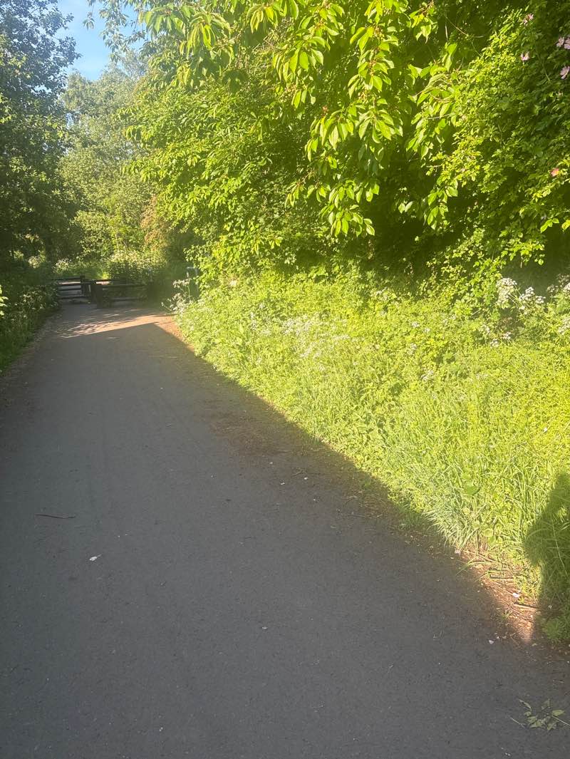 walking near me in Hopefield Park in summer