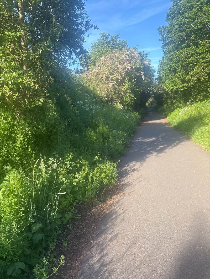 walking near me in Rothwell Pastures in summer