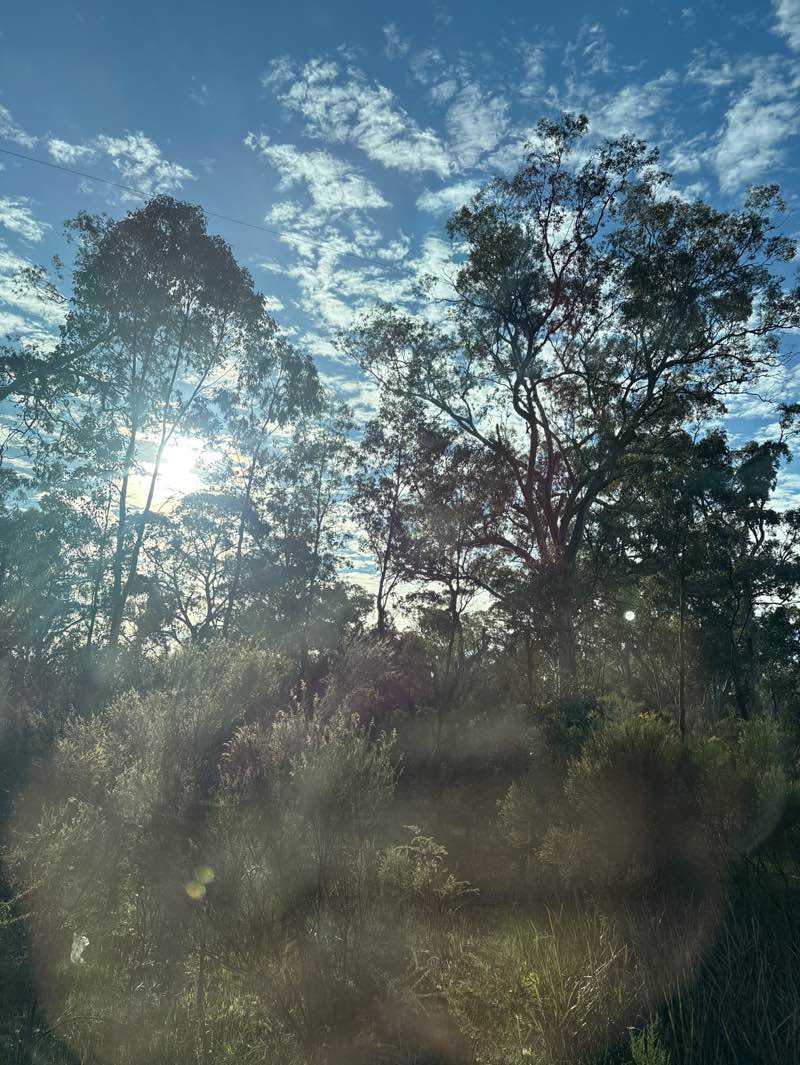 walking near me in Toolleen Bushland Reserve in winter