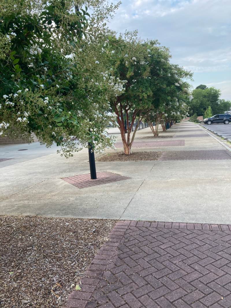 walking near me in Gaston Park in winter