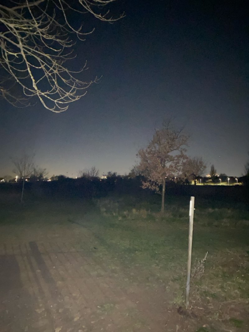 walking near me in Southchurch Park East in winter