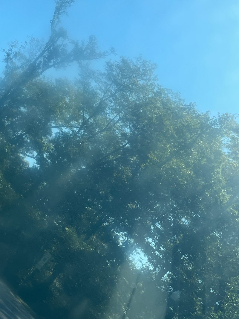 walking near me in Randall Family Park and Trailhead in autumn