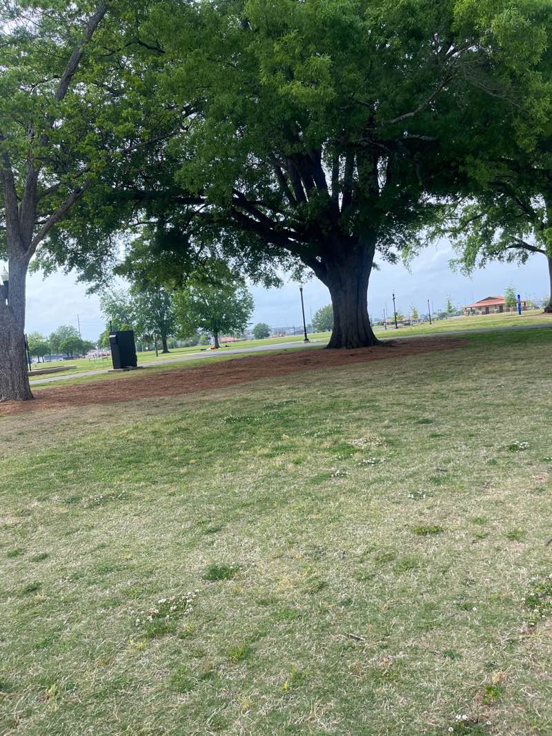 walking near me in C Snow Hinton Park in spring