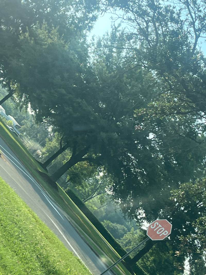 walking near me in Munny Sokol Park in summer