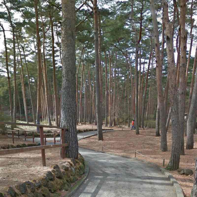 2023 Pacer Adventure Newbies Sofie post image