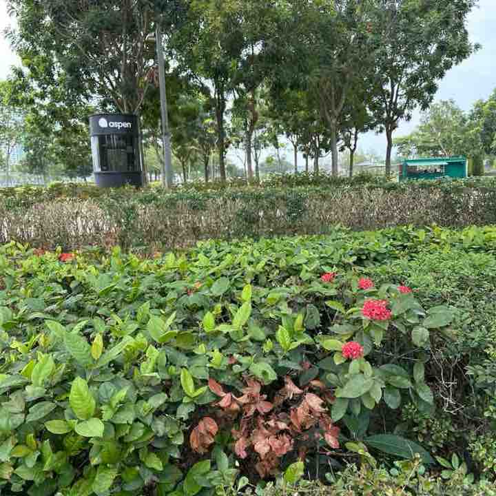 Wan Muhammad Haffizul post 1