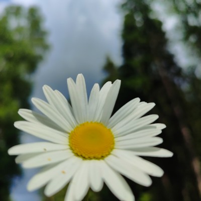 Ходоки 5.0 (ПСП) Ксения Серова post image