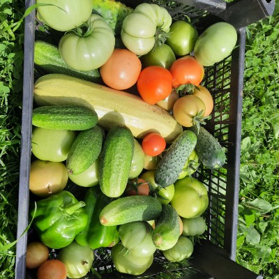 Ходоки 3.0 (Дивизион АУП) Юлия Платонова post image