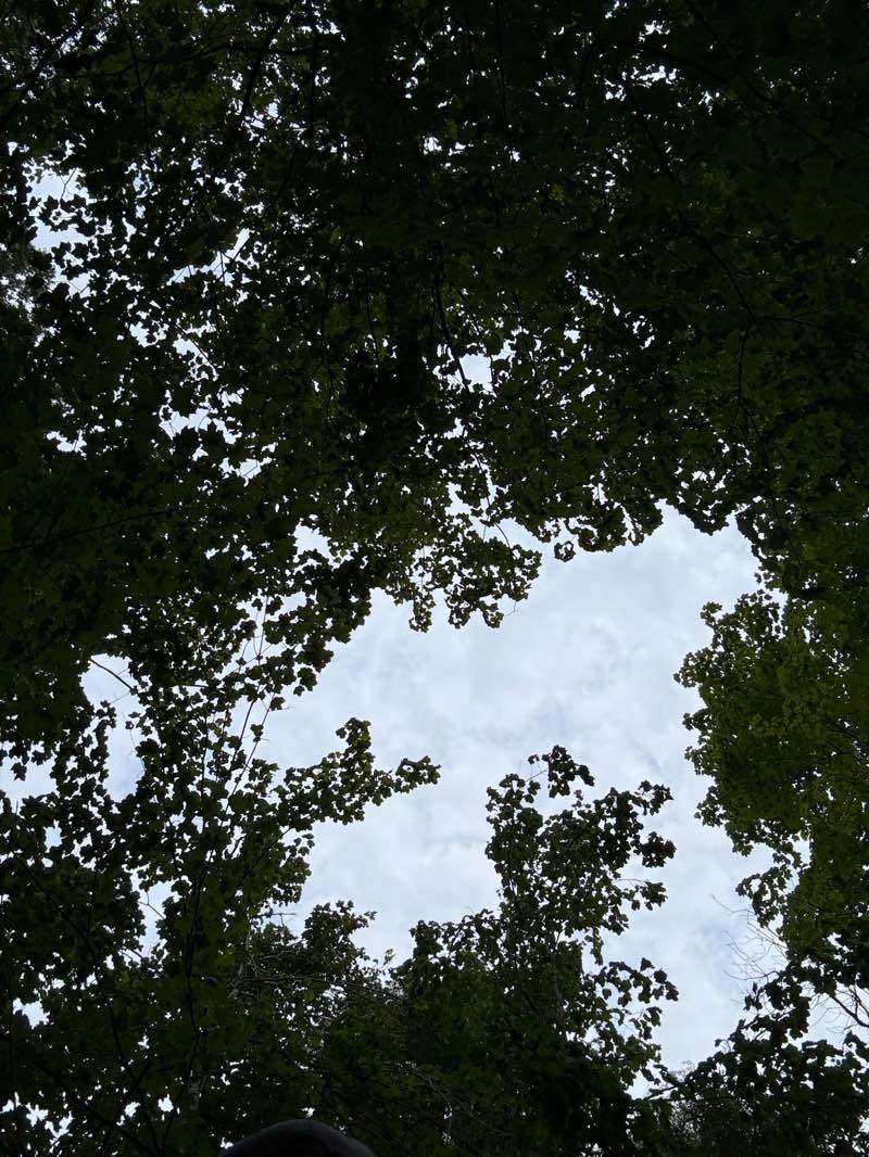 walking near me in Riverwood in autumn