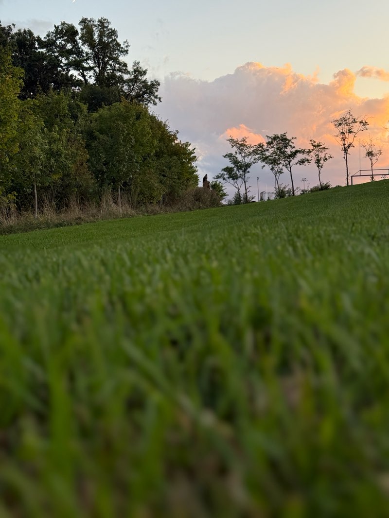walking near me in Dr. Martin L. Dobkin Park in autumn