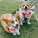 冬甩x榮浩🐶 Kevin