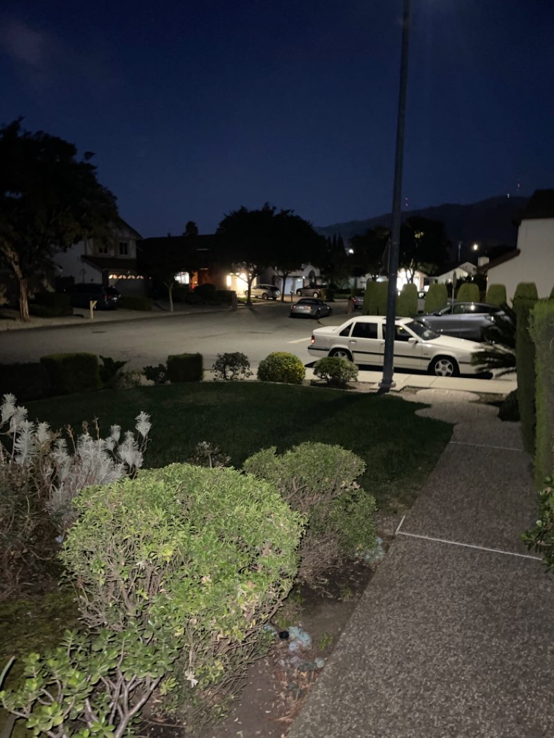 walking near me in Sandlewood Park in winter