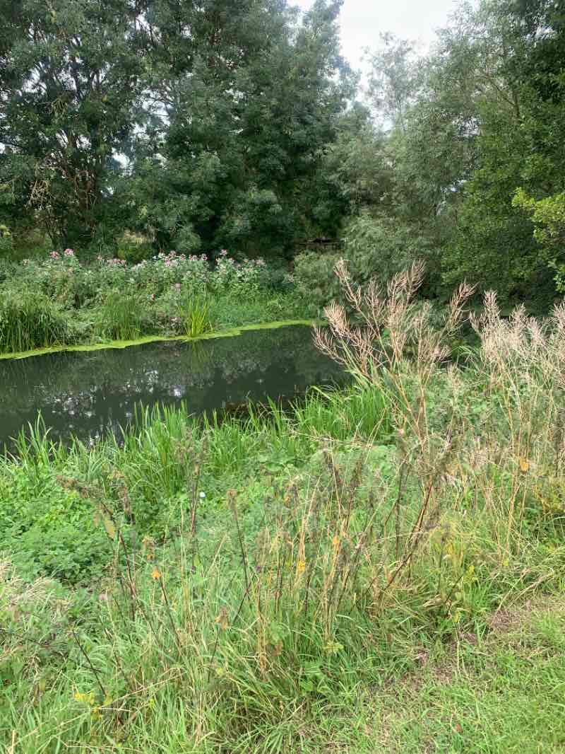 walking near me in Hunsbury Hill Country Park in winter