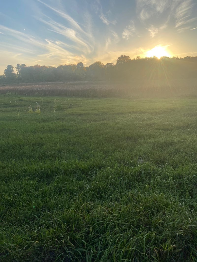 walking near me in Concord Farms Cr in autumn