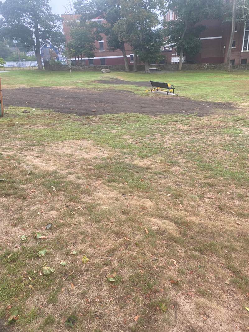 walking near me in Linscott Park in autumn