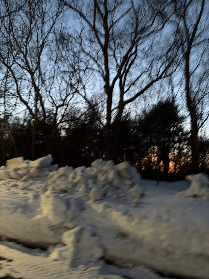 walking near me in Minute Man National Historical Park in spring