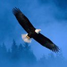 写字楼租赁贵林