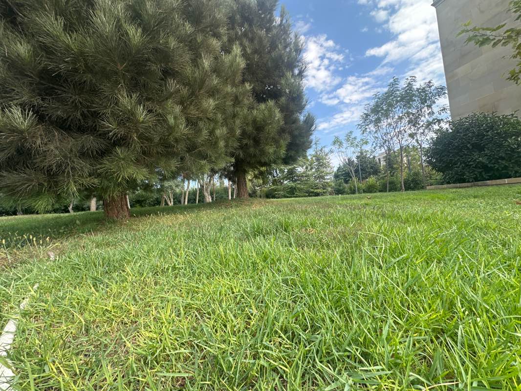 walking near me in Nizami Parkı / Ağ Şəhər in autumn