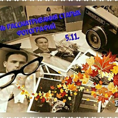 🦔Ёжик в Тумане🌫️ Aleksandrgurov7 post image