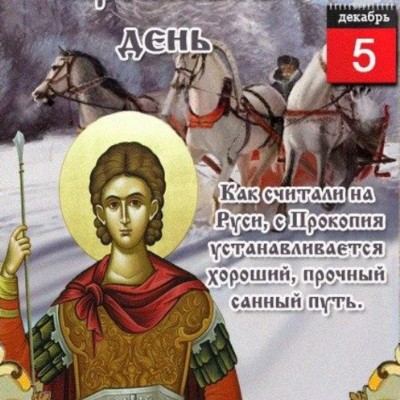 🦔Ёжик в Тумане🌫️ Aleksandrgurov7 post image