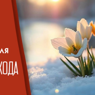 🦔Ёжик в Тумане🎄 Aleksandrgurov7 post image