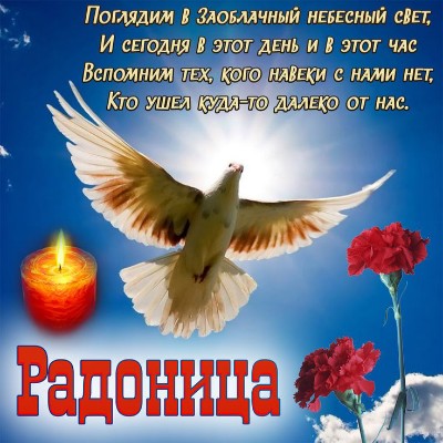 🦔Ёжик в Тумане🎄 Aleksandrgurov7 post image