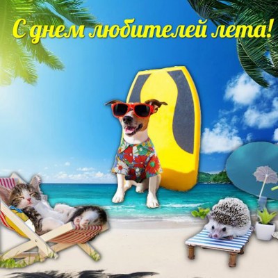 🦔Ёжик в тумане 🌫 Aleksandrgurov7 post image