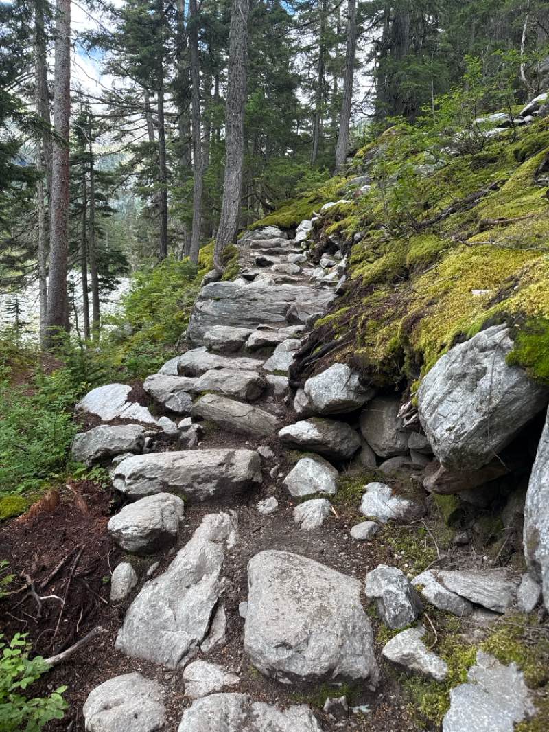 walking near me in Glacier National Park in autumn