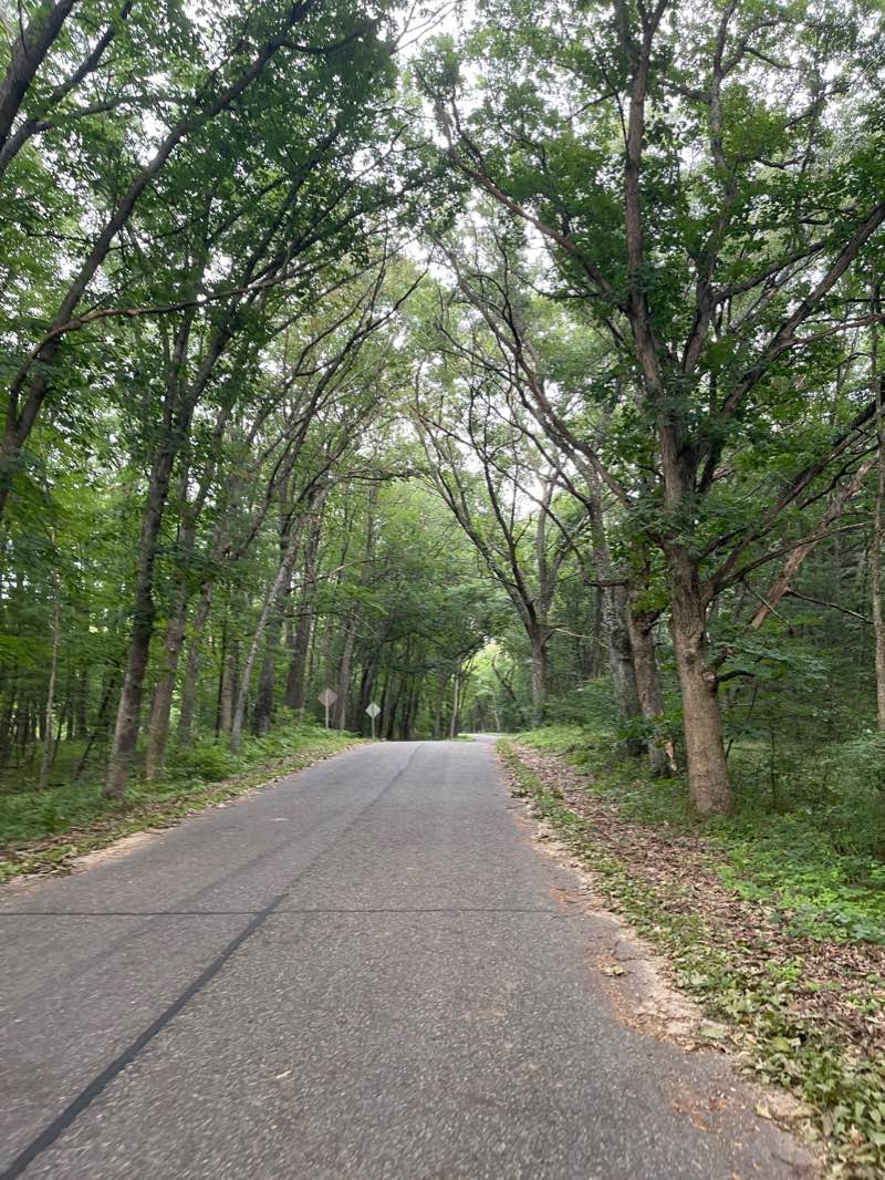 walking near me in Friendship Park in winter