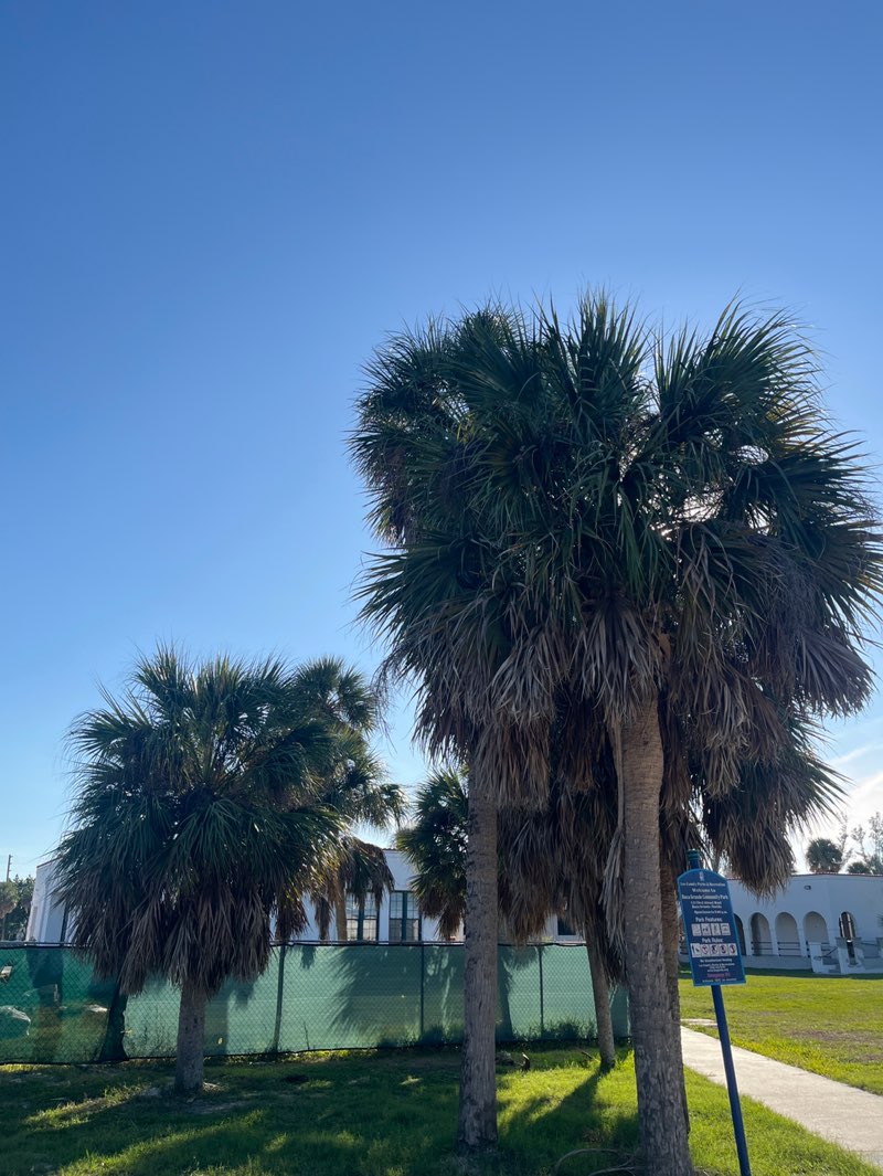 walking near me in Boca Grande Community Park in winter